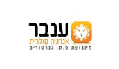 ענבר אנרגיה סולארית